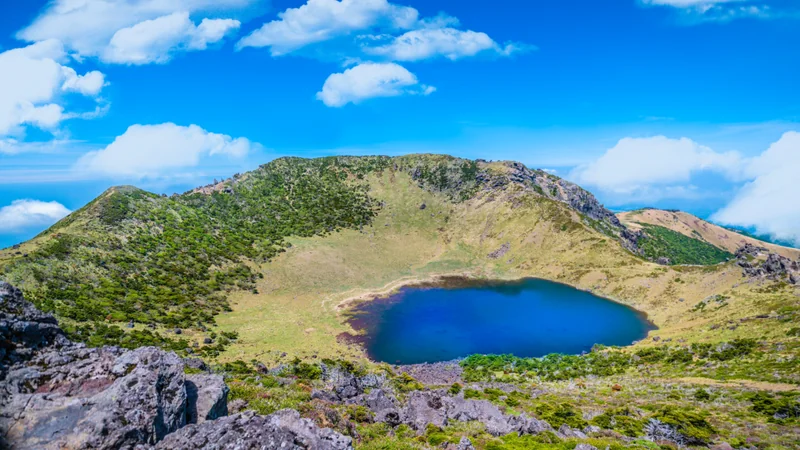 Hallasan Mountain Hiking Tour