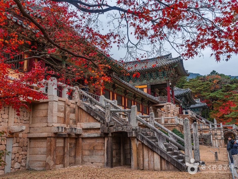Gyeongju Highlights Private Tour from Busan