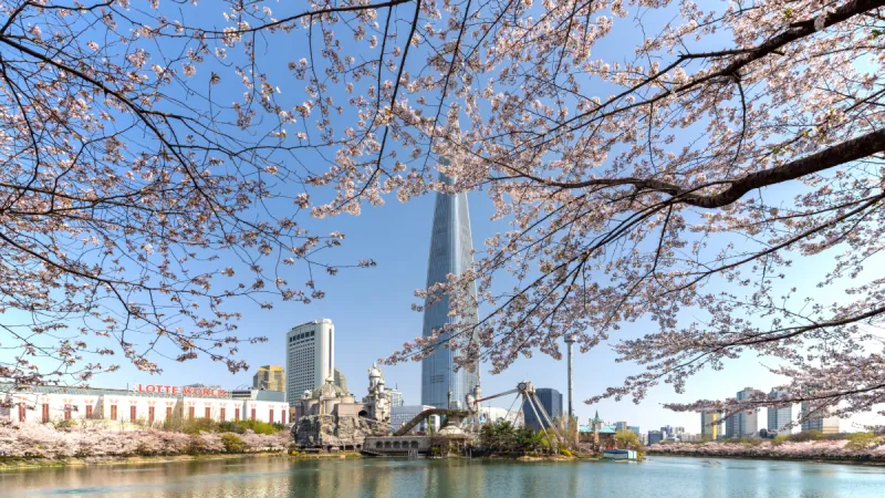 Seoul Highlights Private Tour B