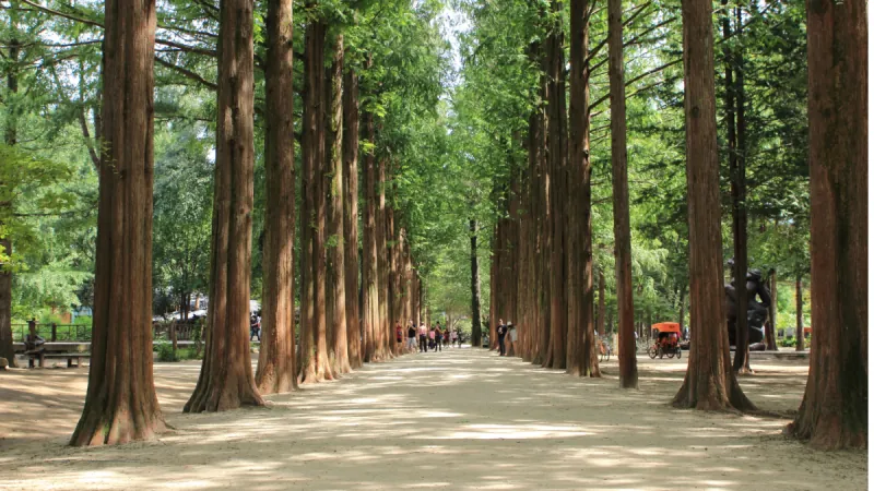 2-Day Seoul & Nami Island Tour