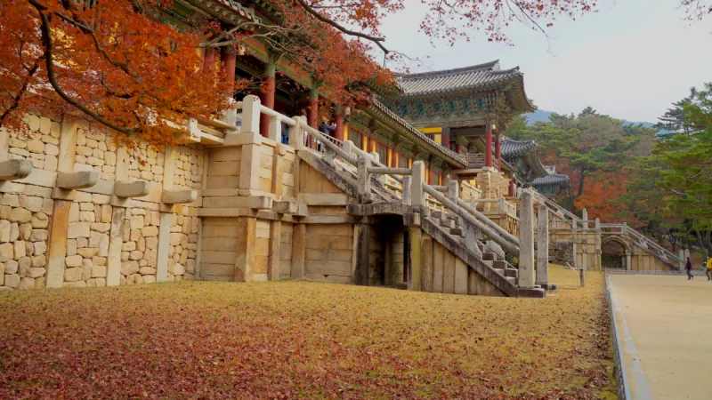 2-Day Busan & Gyeongju Tour