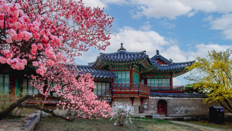 Seoul UNESCO World Heritage Tour