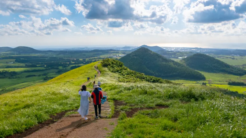 3-Day Jeju Highlights & Light Hiking Private Tour