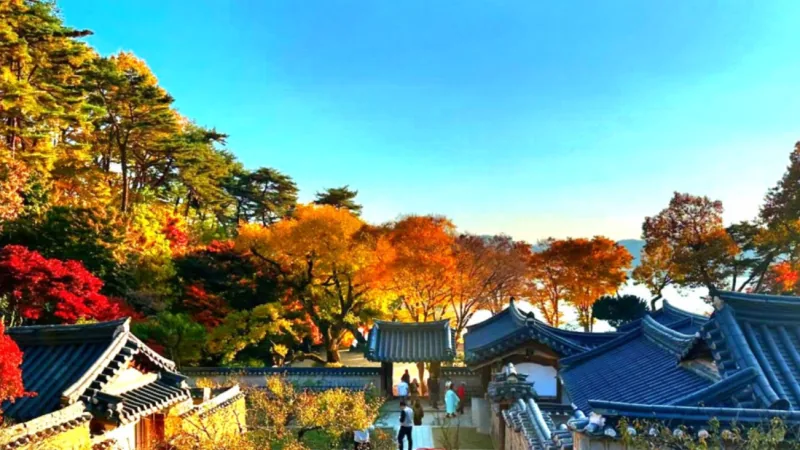 4-Day Andong, Gyeongju & Busan Tour