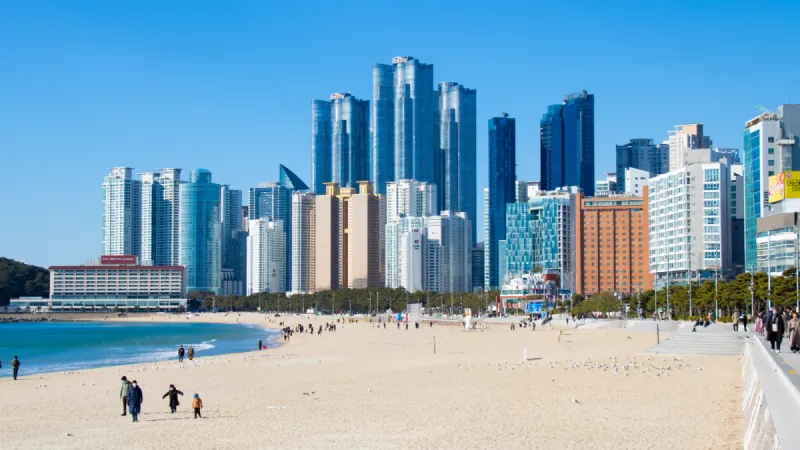 7-Day Seoul & Busan Private Tour