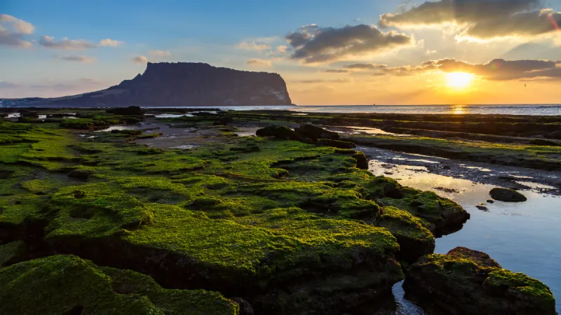 15-day Korea Highlights Private Tour – Jeju Arrival