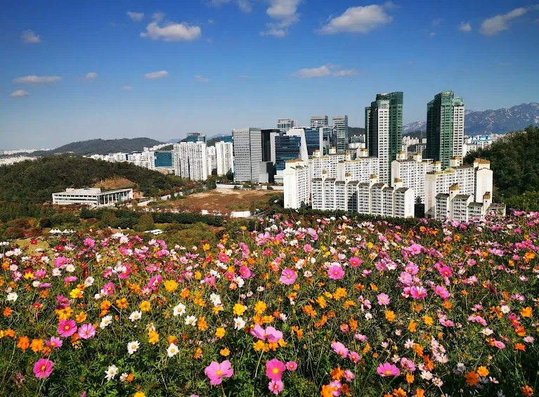 West Seoul Spring & Autumn Scenic Tour