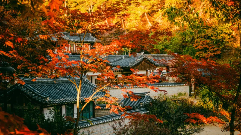 2-Day Nami Island & Seoraksan Autumn Foliage Tour