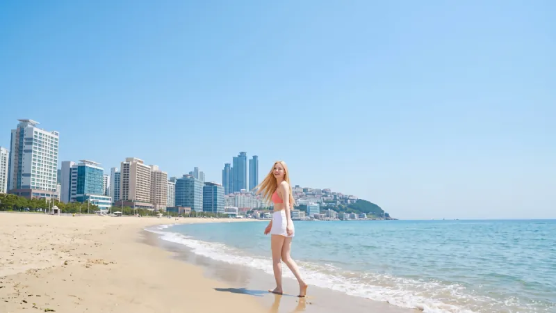 Busan Highlights Private Tour A