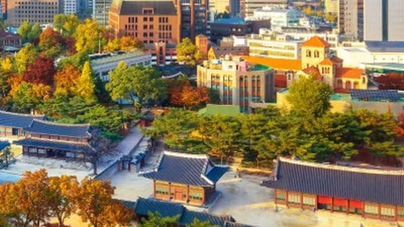 5-Hour Seoul Palace & Market Private Walking Tour