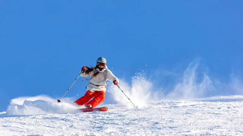 Vivaldi Park Private Ski Tour from Seoul
