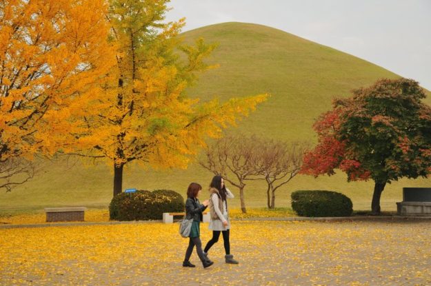 Two women walking through the Daereungwon Tomb Complex during Autumn.