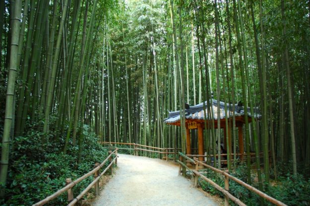 Juknokwon (Bamboo Garden), Korea