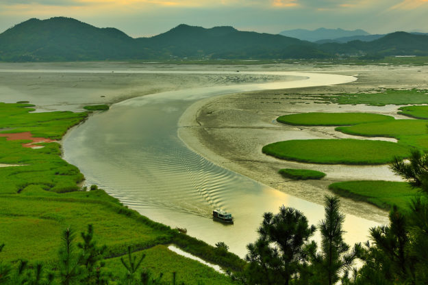 Suncheon Bay Ecological Park