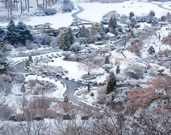 Garden of Morning Calm Garden of Morning Calm