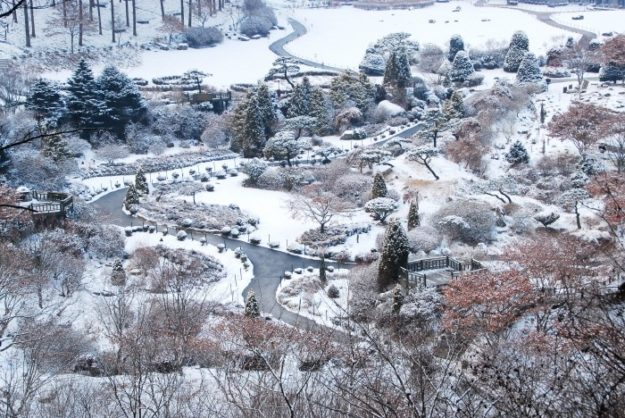 Garden of Morning Calm Garden of Morning Calm