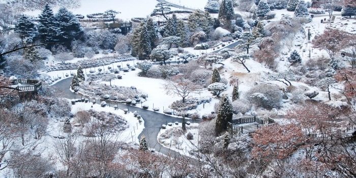 Garden of Morning Calm Garden of Morning Calm