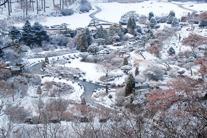 The Garden of Morning Calm (The Perfect Eye Candy)
