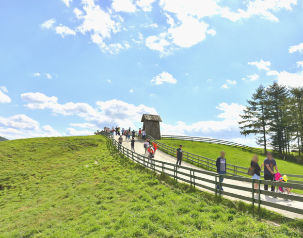 Daegwallyeong Sheep Farm Daegwallyeong-Sheep-Farm