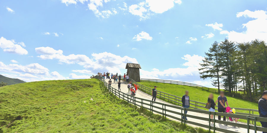 Daegwallyeong-Sheep-Farm