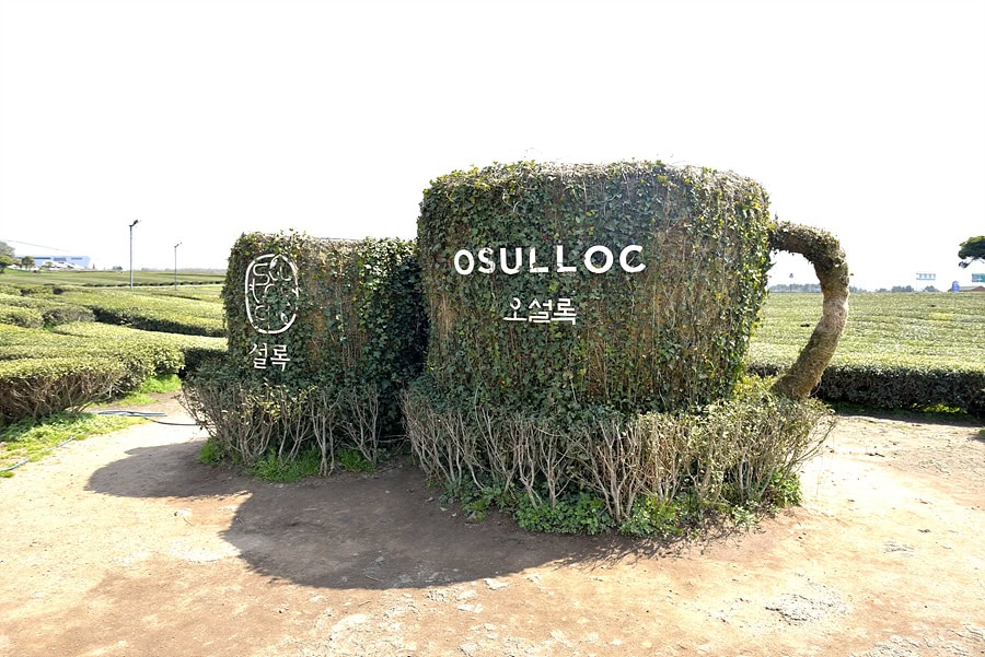 Experience the goodness of Tea at O’Sulloc Tea Museum