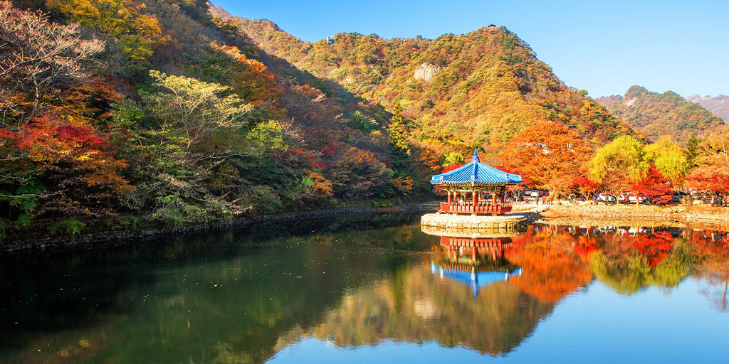 korea travel packages