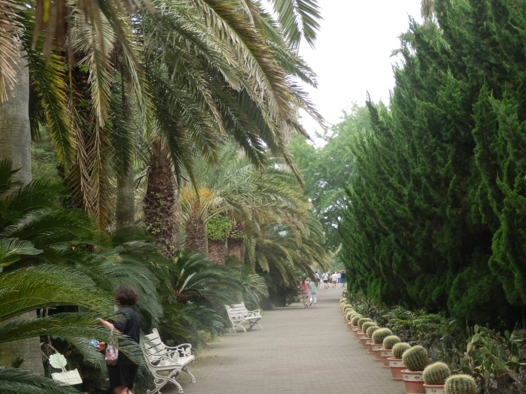 Hallim Park : The Haven of Beauteous Gardens