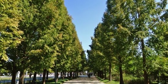 서울_데이트_장소_추천_이쁜공원_서울숲공원_(1)