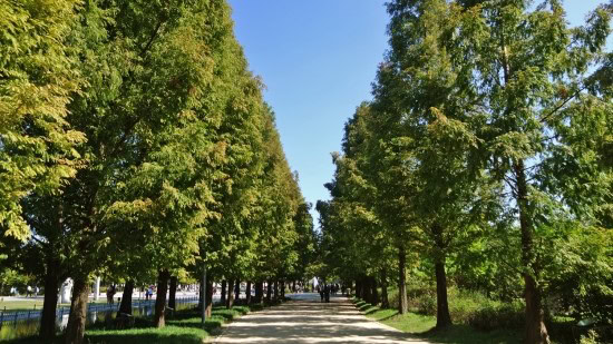 서울_데이트_장소_추천_이쁜공원_서울숲공원_(1)