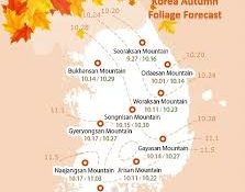 2019 Korea Autmun Foliage Forecast