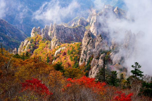 Korea’s_fall_foliage