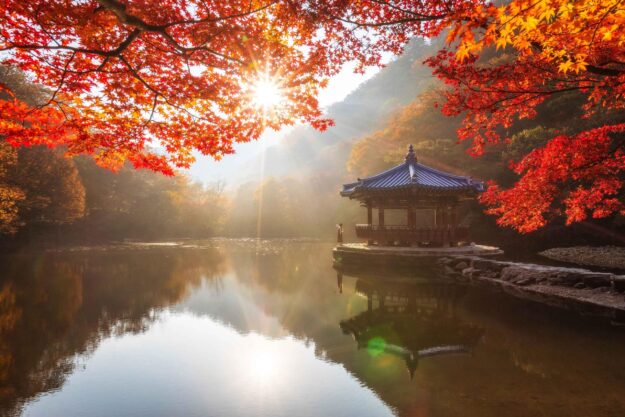 Korea_morning001