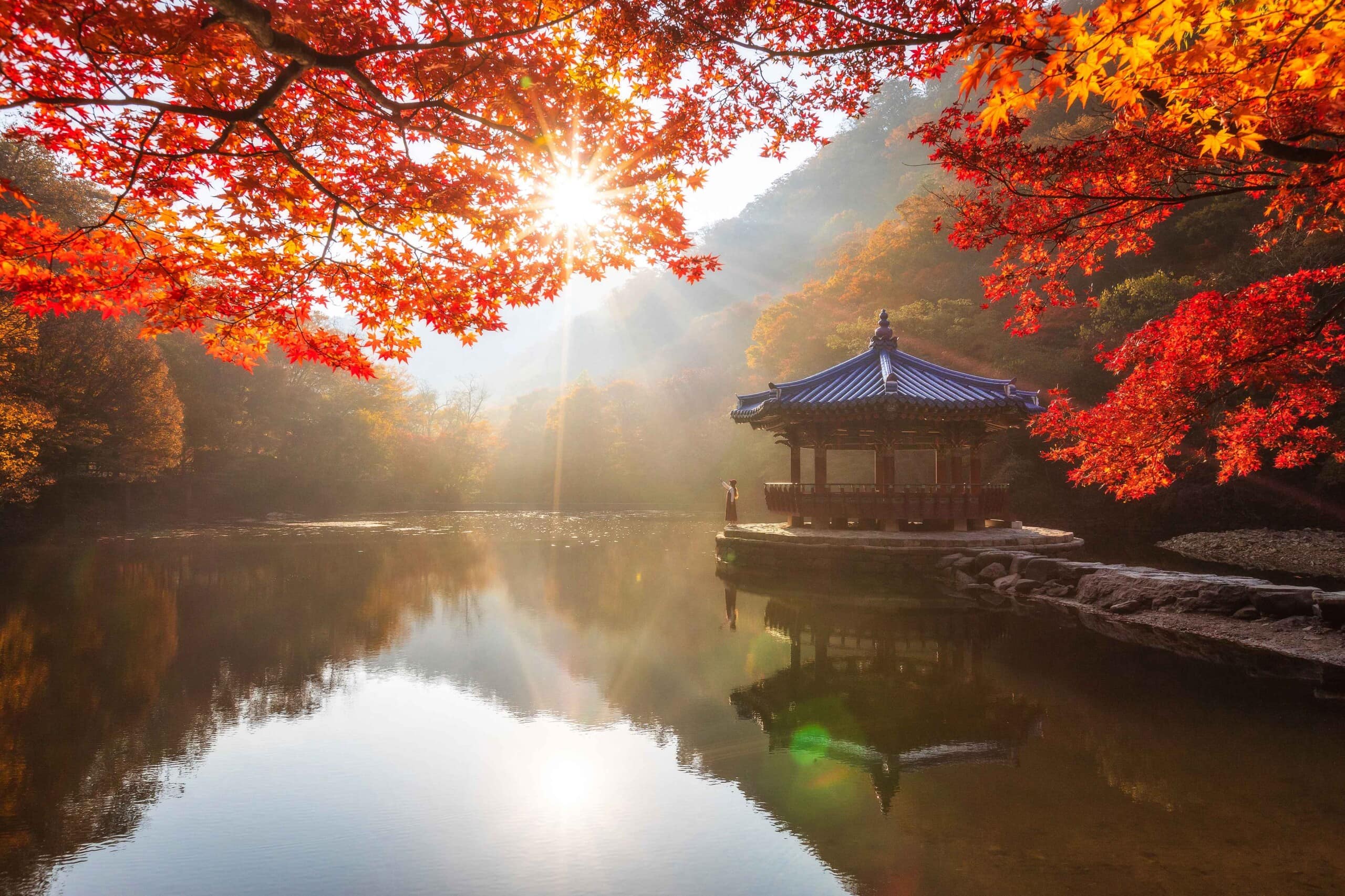 2024 Korea Fall Foliage -Top 7 Autumn Destinations, Closest to Seoul