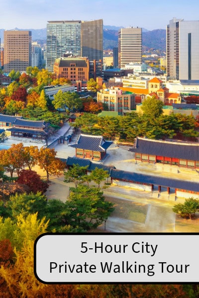 5-Hour Seoul Palace & Market Private Walking Tour